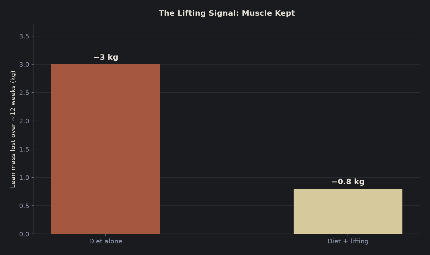 Bar chart showing lean mass lost during dieting with and without resistance training